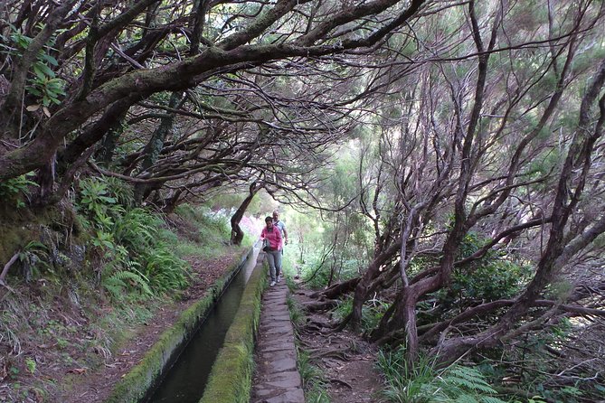Skywalk 4x4 Experience and Rabacal 25 Fountains Levada Walk - What the guides add to the experience
