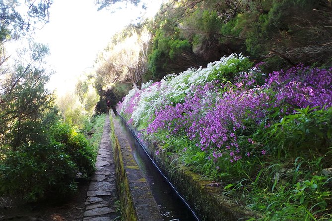 Skywalk 4x4 Experience and Rabacal 25 Fountains Levada Walk - Is $41 good value?