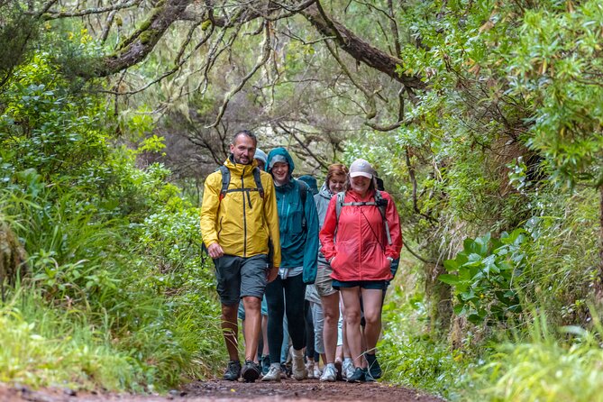 Skywalk 4x4 Experience and Rabacal 25 Fountains Levada Walk - The 25 Fontes walk begins with water and forest