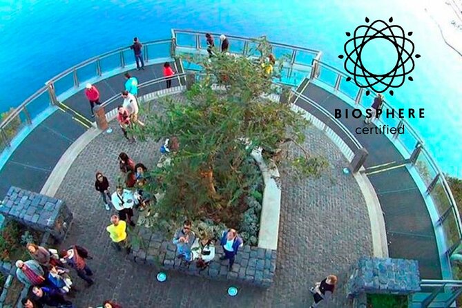 Skywalk, Amazing Views & Wine Tasting in Open Roof 4x4 Adventure - Why this half-day 4x4 trip works