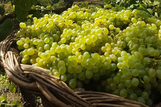 Skywalk with Wines Tasting and Vineyards Half day 4x4 Adventure - Timing, group size, and useful planning tips