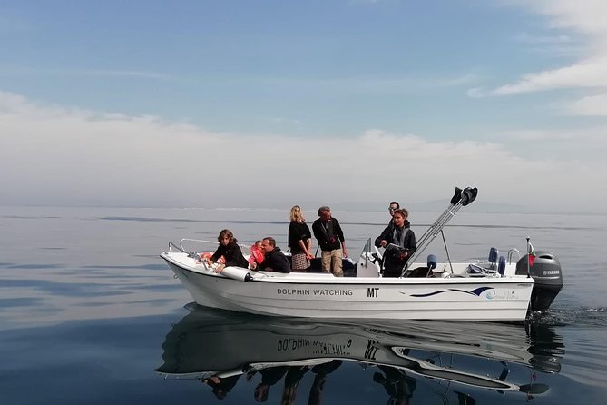 Small Group Dolphin and Wildlife Watching Tour in Faro - Key points to know before you book