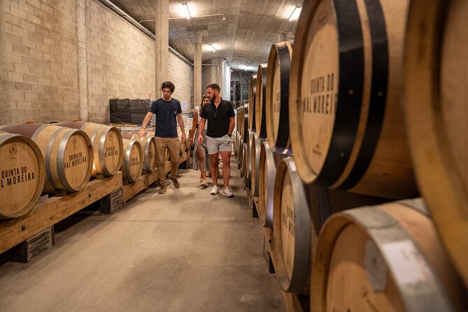 Small Group Douro Valley Wine Tour with Lunch and Cruise - The Second Estate and More Port Wine