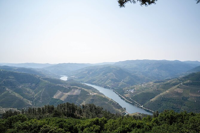 Small Group Douro Valley Wine Tour with Lunch and Cruise - What Is Included and What Is Not