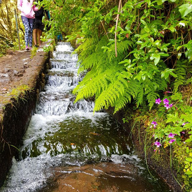 Small Group Walks Rabaçal 25 Fontes - Why Rabaçal 25 Fontes is worth your morning