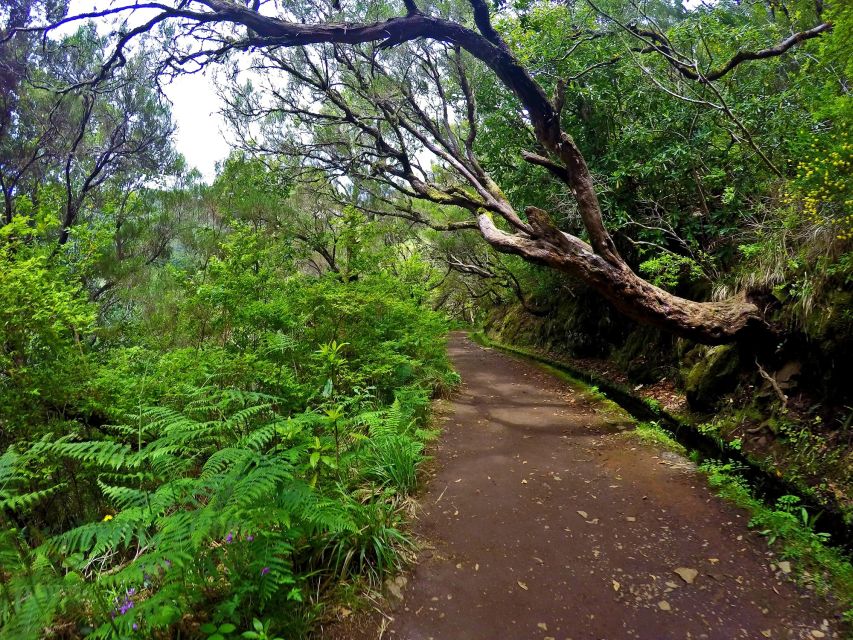 Small Group Walks Rabaçal 25 Fontes - The 25-spring lagoon and waterfall