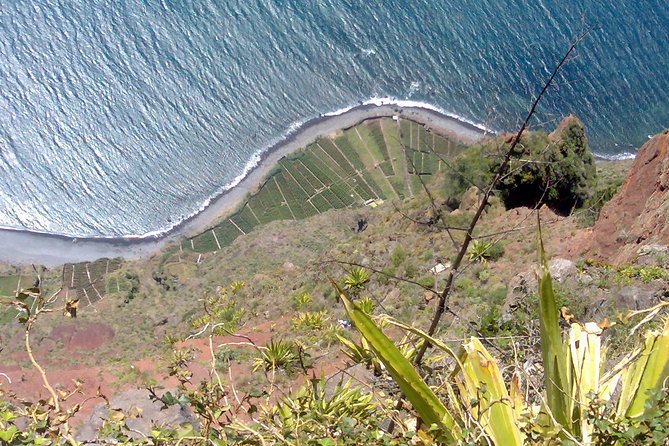 Small Group West Tour Waterfalls & Fanal Forest Tour - São Vicente and the Brides Veil Waterfall
