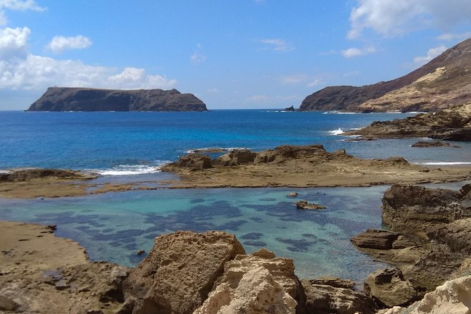 Snorkeling Tour - What you can see in the shallow rockpool