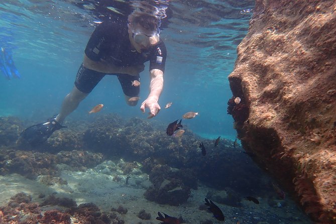 Snorkeling Tour - Why the calm setting suits beginners