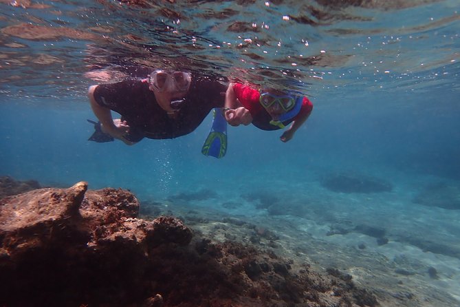 Snorkeling Tour - Where experienced snorkelers may feel let down