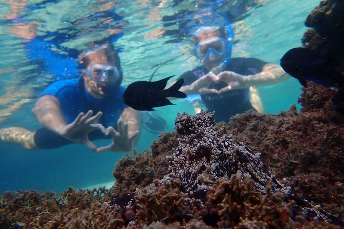 Snorkeling Tour - Equipment, clothing, and what to bring