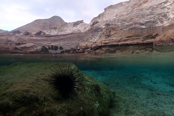 Snorkeling Tour - Weather, timing, and the cancellation rule