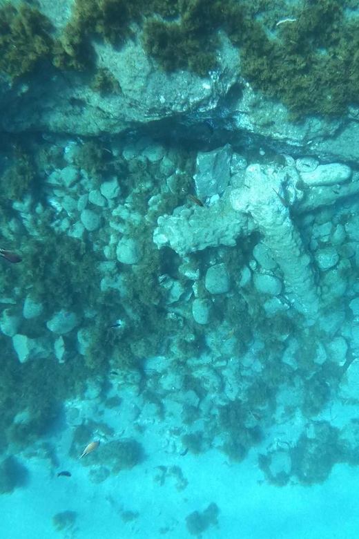 Snorkeling Tour- Vila Franca do Campo Islet - Snorkeling Among Volcanic Rocks