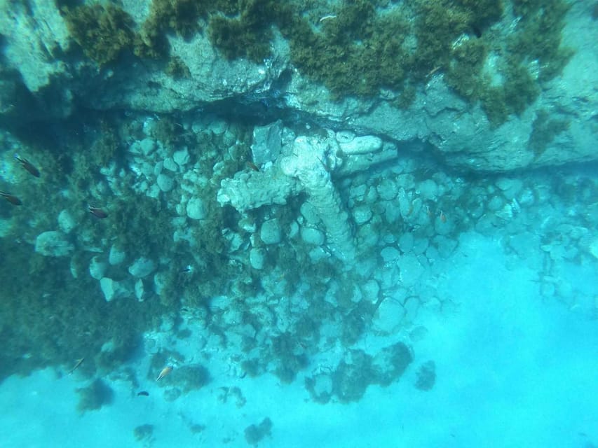 Snorkeling Tour- Vila Franca do Campo Islet - Circling the Islet by Boat