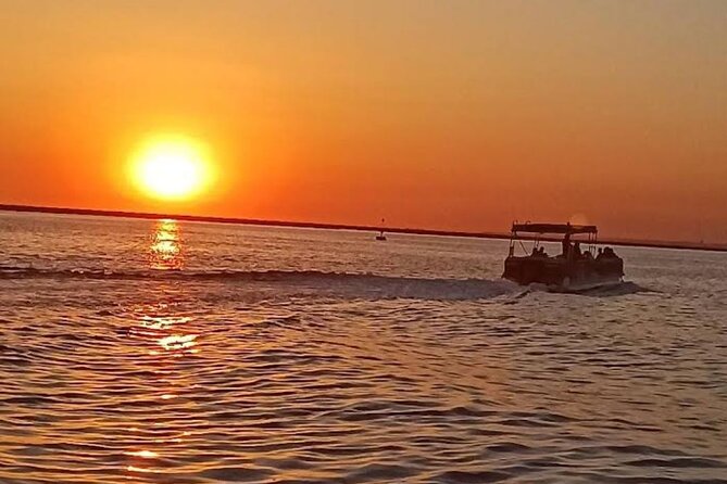 Sunset Tour | Ria Formosa - From Faro - Key points before you book