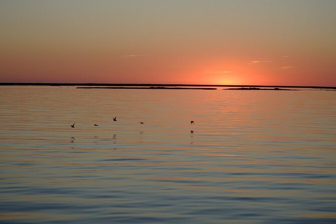 Sunset Tour | Ria Formosa - From Faro - Sunset colors from a low, open viewpoint