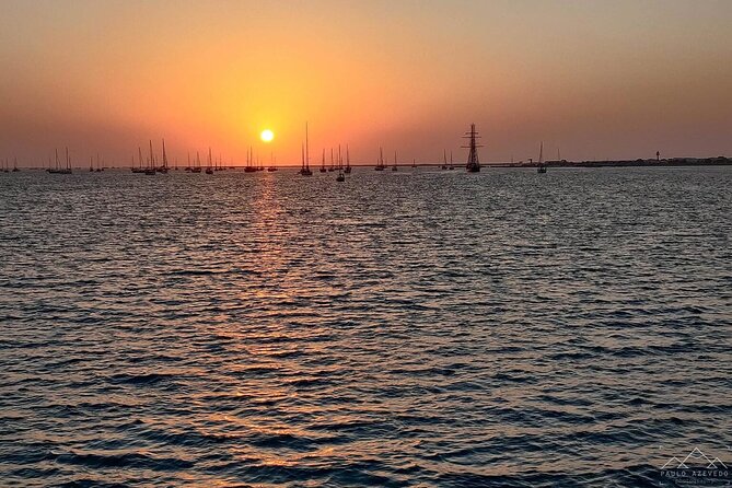 Sunset Tour | Ria Formosa - From Faro - Watching the tide, marshes, and birdlife
