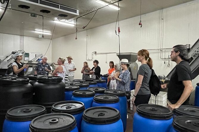 Tavira Olive Experience Factory Tour and Tasting - Inside the processing area