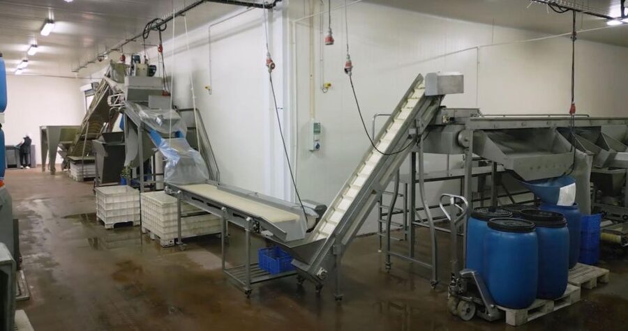 Tavira: Olive Factory Tour and Tasting - The shop turns tasting into a practical souvenir stop