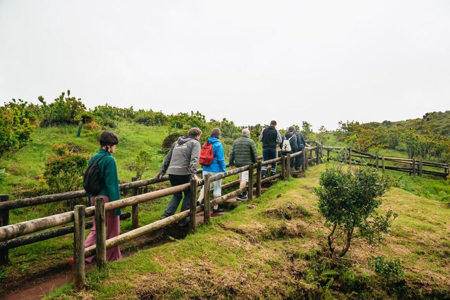 Terceira: Algar do Carvão Lava Caves Tour - The replacement lava tube: a more private kind of cave visit