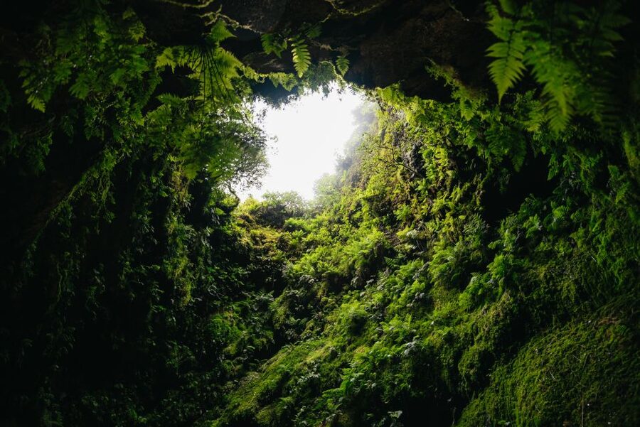 Terceira: Algar do Carvão Lava Caves Tour - Gruta do Natal and the story written in lava