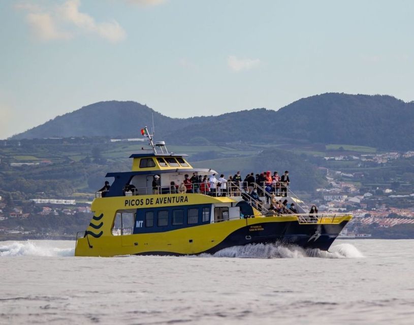 Terceira: Half-Day Dolphin and Whale Watching Tour - Ilhéu das Cabras and the volcanic coast