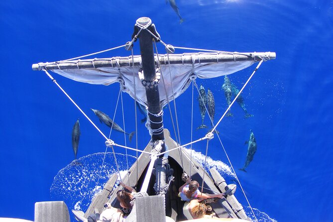 Time Travel on Columbus Replica Flag Ship in Madeira - What to bring and how to plan your day