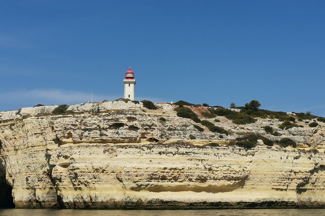Tour to Benagil Caves and Coastline in Albufeira - The Atlantic swim stop and the ride back