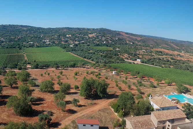 Tour & Wine tasting - Authentic Algarve Flavours by Quinta da Tôr - The pool and views can turn a tasting into an afternoon