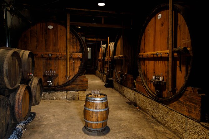 VALE DOURO, Premium Wine Tour, Wine Lunch, Private Boat - The first winery and traditional wine production