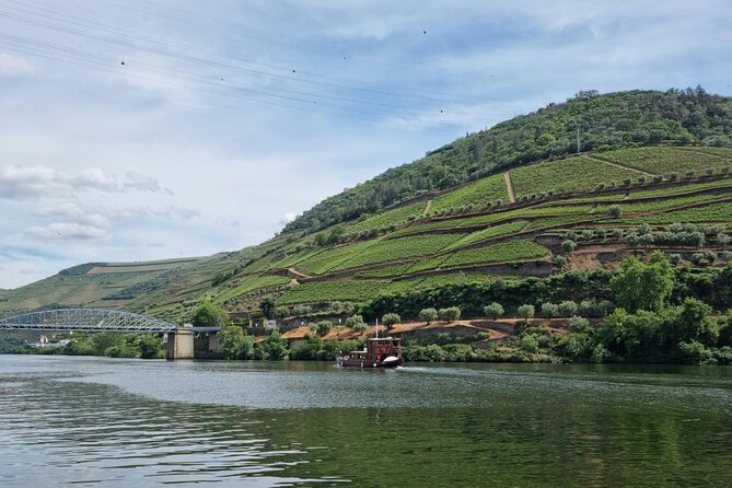 VALE DOURO, Premium Wine Tour, Wine Lunch, Private Boat - The farm lunch is the centerpiece