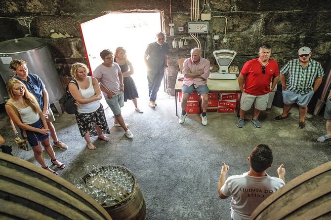VALE DOURO, Premium Wine Tour, Wine Lunch, Private Boat - The N222 and the Douro viewpoints