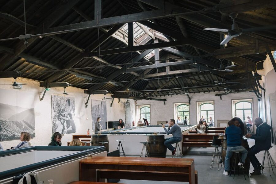 Vila Nova de Gaia: Port Wine Tasting with Cheese Pairing - Price, timing, and what you receive