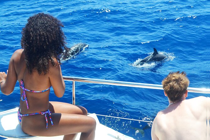 VipDolphins Luxury Whale Watching - Leaving Funchal Marina with room to breathe