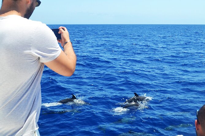 VipDolphins Luxury Whale Watching - A generous table at sea
