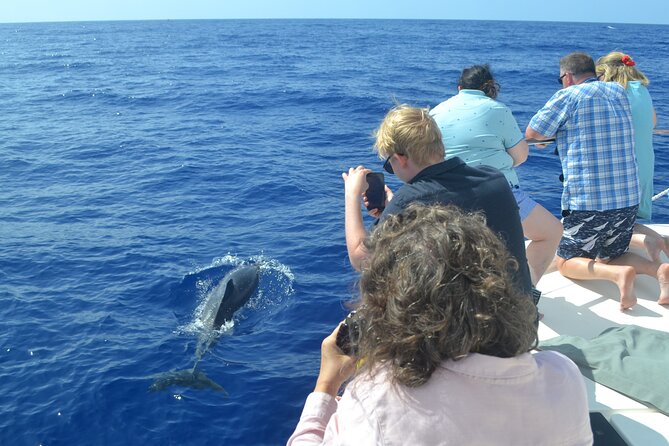 VipDolphins Luxury Whale Watching - Who will enjoy this Funchal cruise most