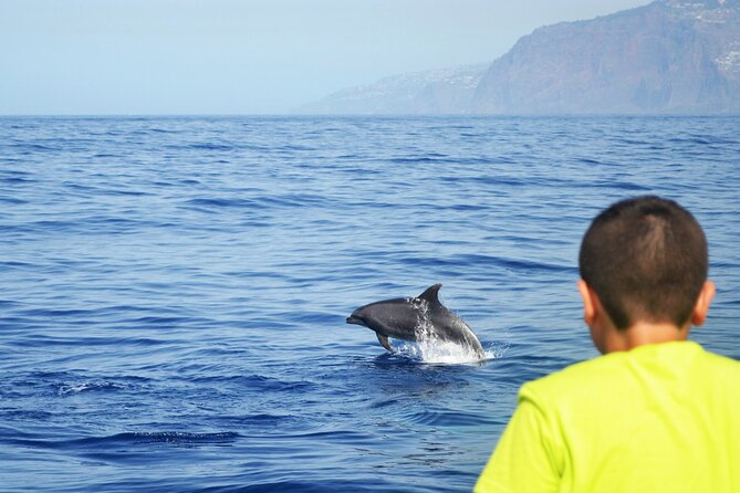 VipDolphins Luxury Whale Watching - Practical details before you go