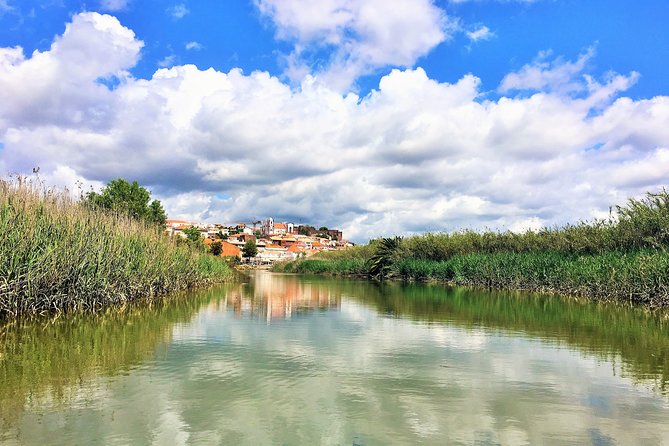 Visit Silves & Explore the Arade River | Eco-Friendly Solar Boat - The return cruise and the small extras