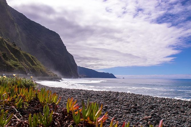 West Tour-Fanal Forest & Porto Moniz Natural Pools Small Groups - Fanal Forest, old trees and mountain weather
