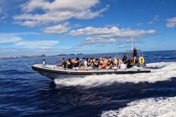 Whale and Dolphin Watching Tour from Funchal - What impressed me most about the experience