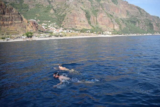 Whale and Dolphin Watching Tour in Madeira - What happens after the swim