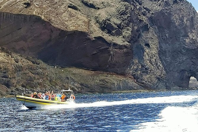 Whale & Dolphin Watching in Madeira - Who will enjoy this boat trip most