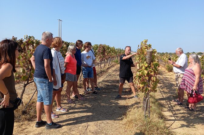 Wine Lovers: Winery Tour w/ Tasting & Tapas (Albufeira/Vilamoura) - Key points at a glance