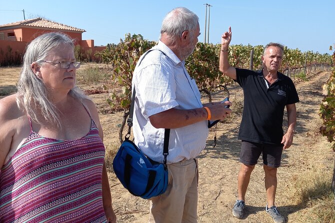 Wine Lovers: Winery Tour w/ Tasting & Tapas (Albufeira/Vilamoura) - What the $71.38 price really covers