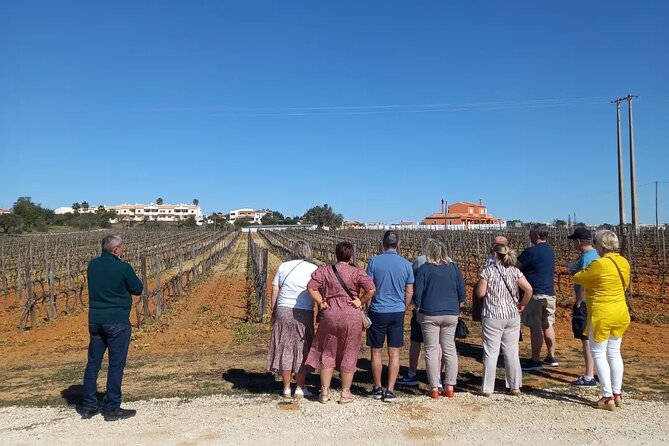 Wine Lovers: Winery Tour w/ Tasting & Tapas (Albufeira/Vilamoura) - Firewater and a pastel de nata on the way back